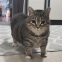 herbsterpinkman avatar