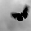 herculesamaru avatar