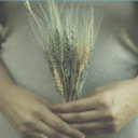 herdetectivetheorist avatar