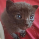 here-drawing-stuff avatar