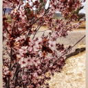 here-for-imagines avatar