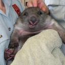 here-for-your-passion avatar