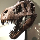 herecauseoftheweirdo avatar