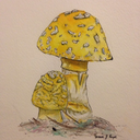 herecomesthemorning avatar