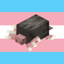 hereforthecubes avatar