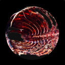 herelieskenna avatar