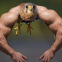 herequeerandregrettinglife avatar