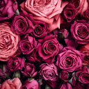 heres20buckskillme avatar