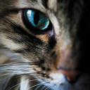 heresciencemeetsart avatar