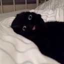 herestonowhere avatar