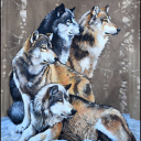 heretherebewolves avatar