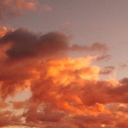 hereticroundup avatar