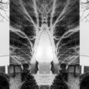 heretodissapear1321 avatar