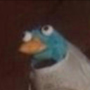 hergardenpurseneck avatar