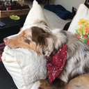 herglitteryworld avatar