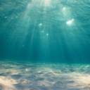 herkesehayran avatar