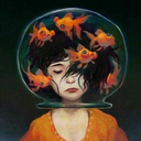 herkeslesmishickimseyim avatar