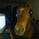 hermannjahnite avatar