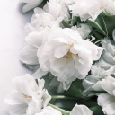 hermionefangirl778 avatar