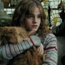 hermionegrangerloverrr avatar