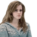 hermioneslibary avatar