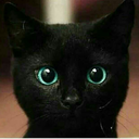 hermit-the-worm avatar