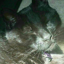 hermitdiviner avatar