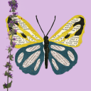 hermitslibrary avatar