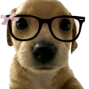 hermoso-desastre-amor avatar