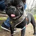 hernanpsworld avatar