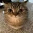 herobrineloverfr avatar