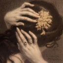 herobservationgarden avatar