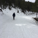 heroesofsport avatar