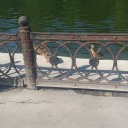 heroperamuffindiplomat avatar