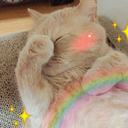 herpainterangel avatar