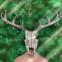 herptile-dysfunction avatar