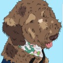hershey-the-service-dog avatar