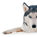 herstrangethings avatar