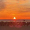 hertyrantyouth avatar