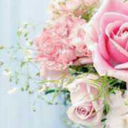 heryerpembeolsa avatar