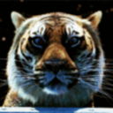 herzvontrenzalore avatar