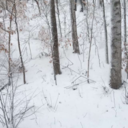 hes-on-your-heroine avatar