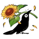 heschrafn-edits avatar