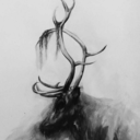 hesitantharbinger avatar