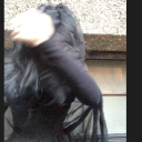 hesitationmarx avatar