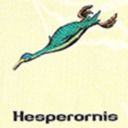 hesperornis avatar