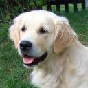 hessys-corner avatar