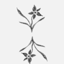 heurebleuenuit avatar