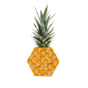 hexagonal-pineapple avatar