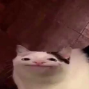 hexters-world avatar